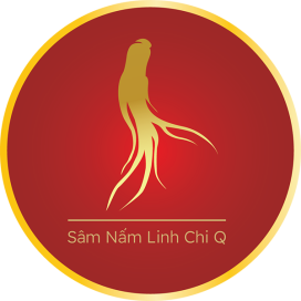 Sâm Nấm Linh Chi